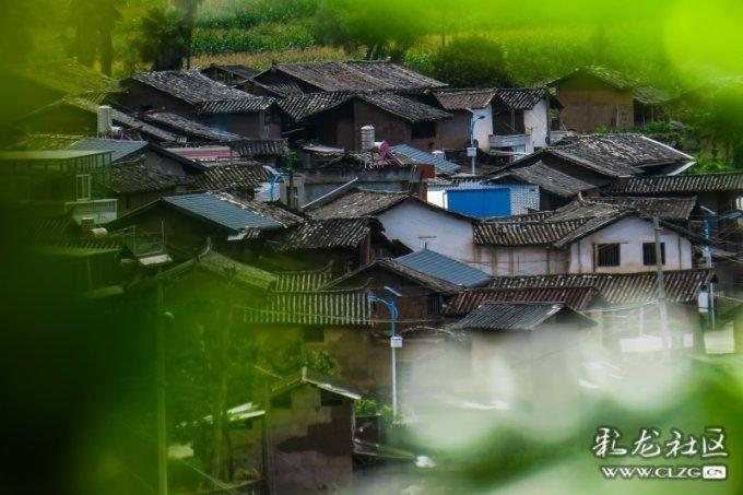 面包店甜品