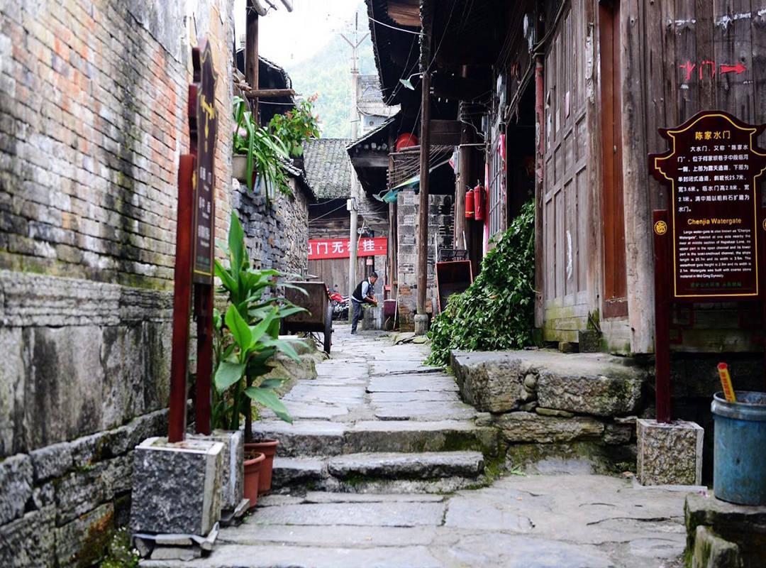 茶云之南开展为生态平衡，为山区祈福放生活动
